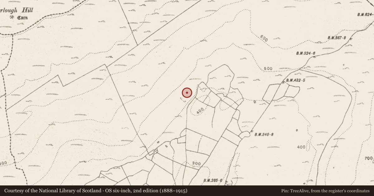 Ordnance Survey six-inch map, 2nd edition (1888–1915) covering the location of Fulacht fia, Aghawinnaun, County Clare, with a pin at the register's coordinates