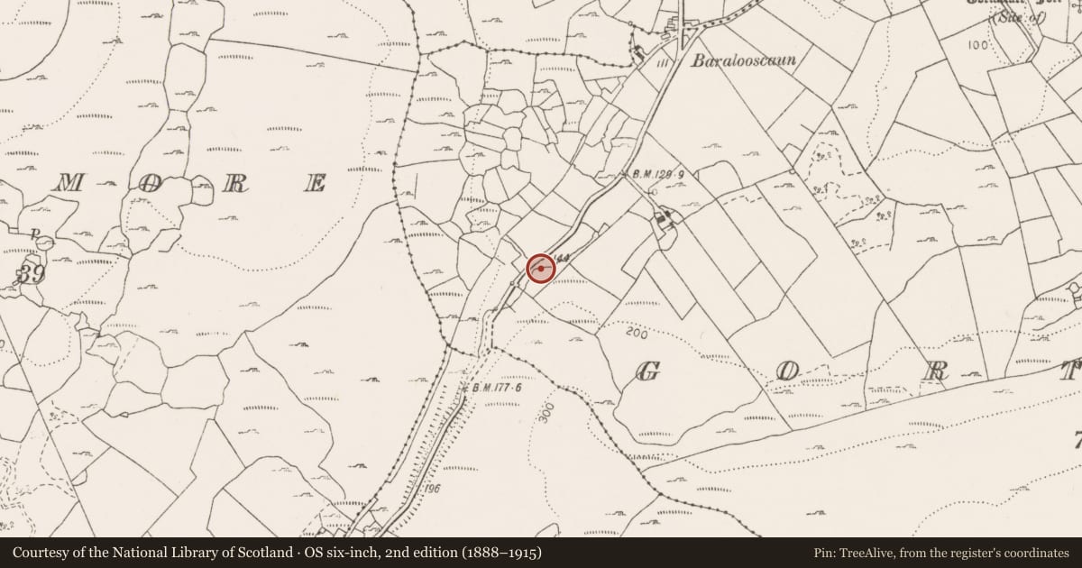 Ordnance Survey six-inch map, 2nd edition (1888–1915) covering the location of Fulacht fia, Gortaclare, County Clare, with a pin at the register's coordinates