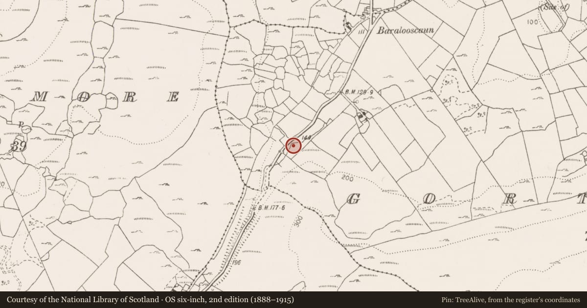 Ordnance Survey six-inch map, 2nd edition (1888–1915) covering the location of Fulacht fia, Gortaclare, County Clare, with a pin at the register's coordinates