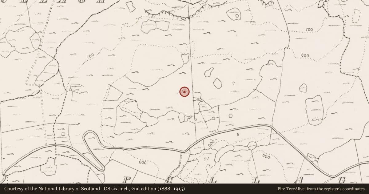 Ordnance Survey six-inch map, 2nd edition (1888–1915) covering the location of Enclosure, Pullagh, County Clare, with a pin at the register's coordinates