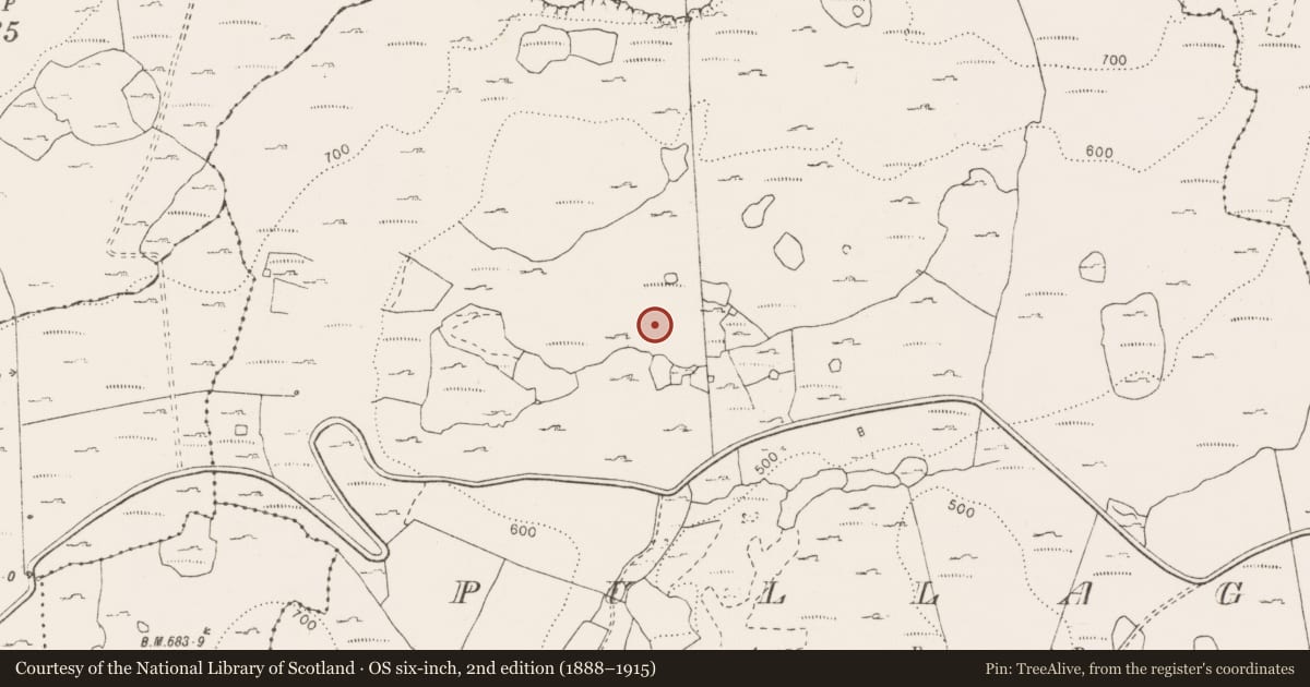 Ordnance Survey six-inch map, 2nd edition (1888–1915) covering the location of Enclosure, Pullagh, County Clare, with a pin at the register's coordinates