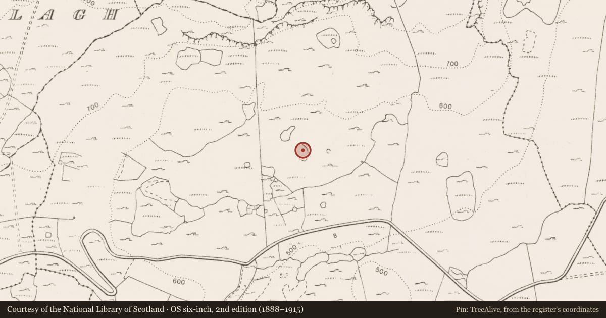Ordnance Survey six-inch map, 2nd edition (1888–1915) covering the location of Enclosure, Pullagh, County Clare, with a pin at the register's coordinates