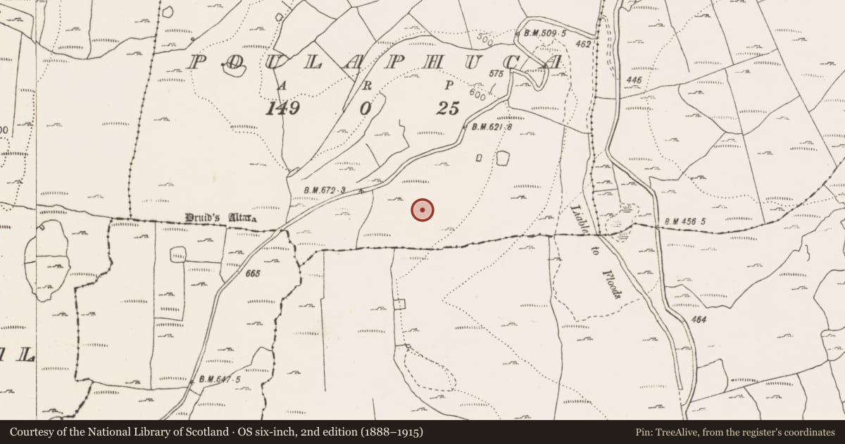 Ordnance Survey six-inch map, 2nd edition (1888–1915) covering the location of Cairn - unclassified, Poulaphuca, County Clare, with a pin at the register's coordinates