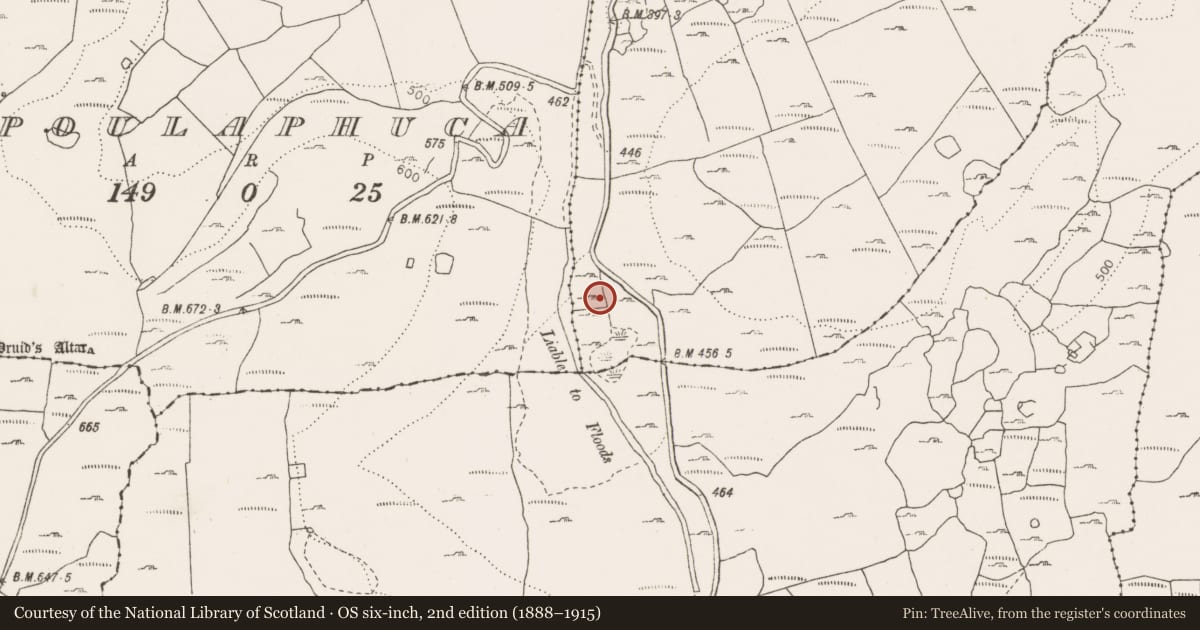 Ordnance Survey six-inch map, 2nd edition (1888–1915) covering the location of Fulacht fia, Deelin Beg, Poulaphuca, County Clare, with a pin at the register's coordinates