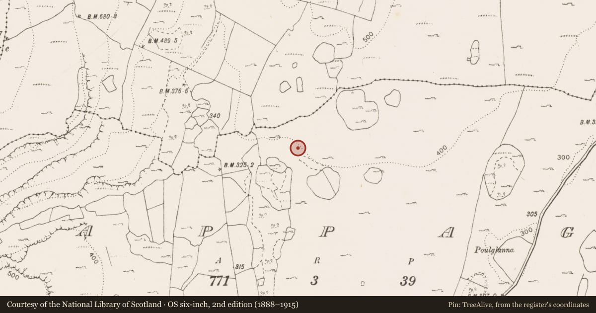 Ordnance Survey six-inch map, 2nd edition (1888–1915) covering the location of Fulacht fia, Cappagh, County Clare, with a pin at the register's coordinates