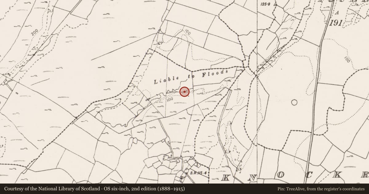 Ordnance Survey six-inch map, 2nd edition (1888–1915) covering the location of Fulacht fia, Killeenmacoog South, County Clare, with a pin at the register's coordinates
