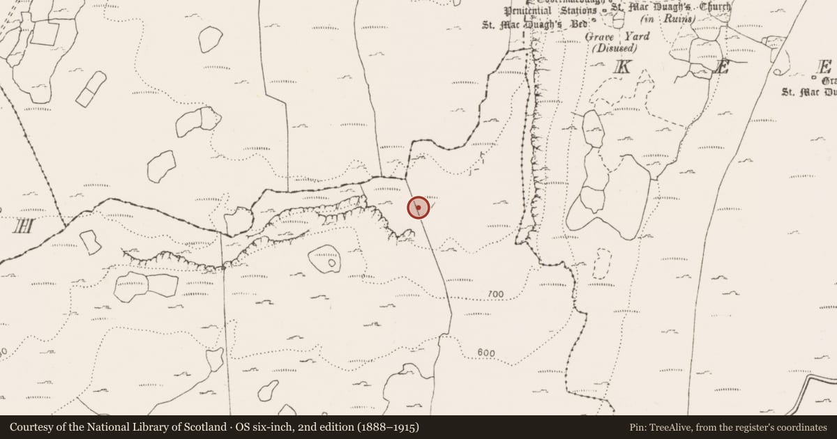 Ordnance Survey six-inch map, 2nd edition (1888–1915) covering the location of Ringfort - cashel, Pullagh, County Clare, with a pin at the register's coordinates