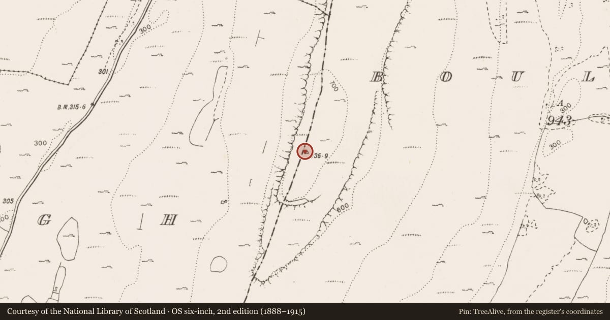 Ordnance Survey six-inch map, 2nd edition (1888–1915) covering the location of Cairn - unclassified, Bouleevin, County Clare, with a pin at the register's coordinates