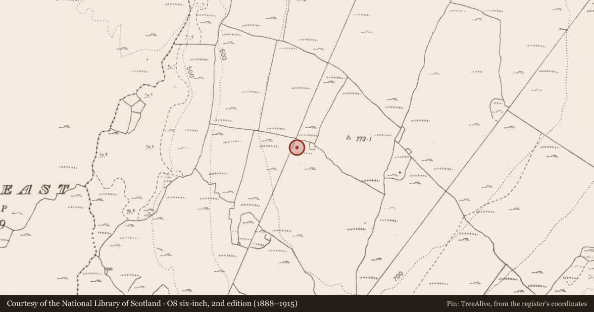 Ordnance Survey six-inch map, 2nd edition (1888–1915) covering the location of Souterrain, Termon, County Clare, with a pin at the register's coordinates