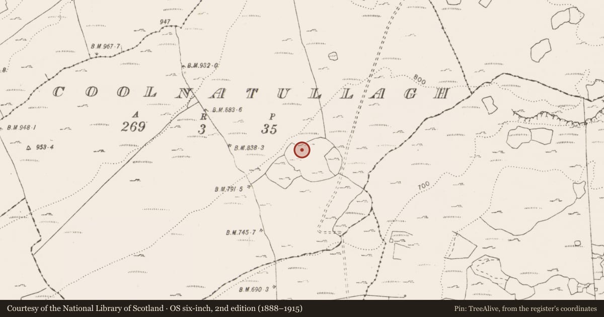 Ordnance Survey six-inch map, 2nd edition (1888–1915) covering the location of Enclosure, Coolnatullagh (Burren By., Oughtmama Par.), County Clare, with a pin at the register's coordinates