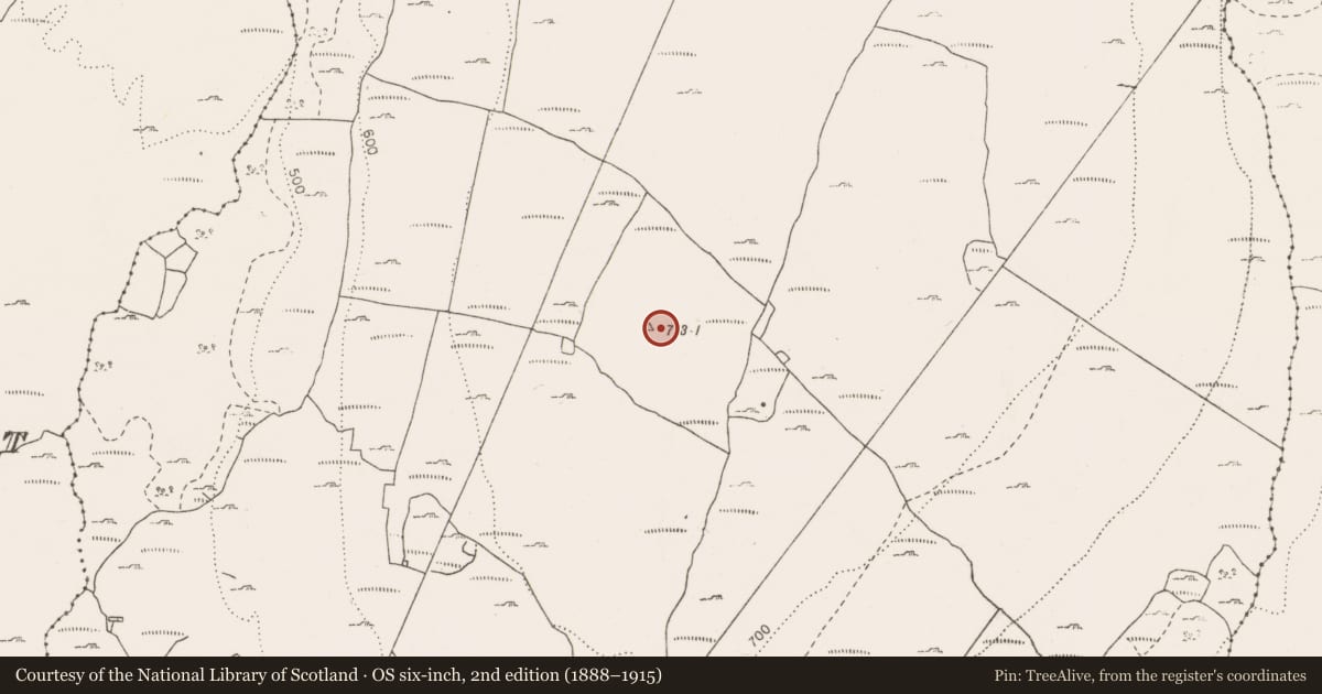 Ordnance Survey six-inch map, 2nd edition (1888–1915) covering the location of Enclosure, Termon, County Clare, with a pin at the register's coordinates