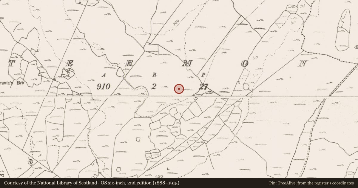 Ordnance Survey six-inch map, 2nd edition (1888–1915) covering the location of Enclosure, Termon, County Clare, with a pin at the register's coordinates
