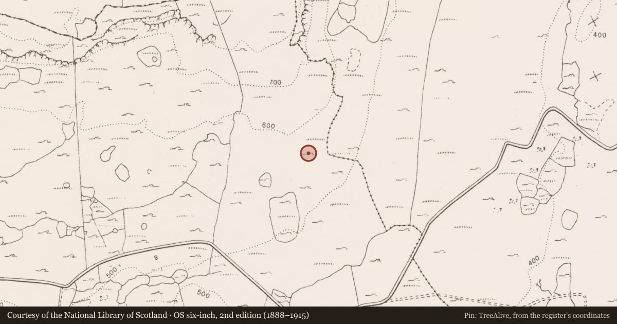 Ordnance Survey six-inch map, 2nd edition (1888–1915) covering the location of Cairn - unclassified, Pullagh, County Clare, with a pin at the register's coordinates