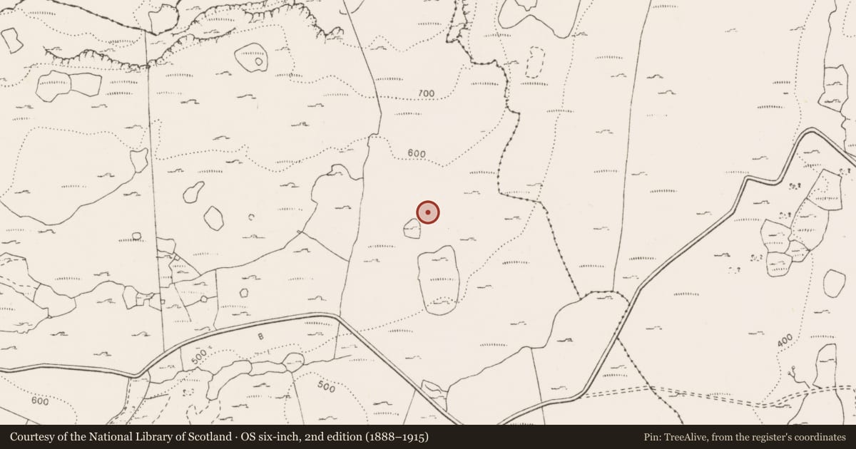 Ordnance Survey six-inch map, 2nd edition (1888–1915) covering the location of Cairn - unclassified, Pullagh, County Clare, with a pin at the register's coordinates