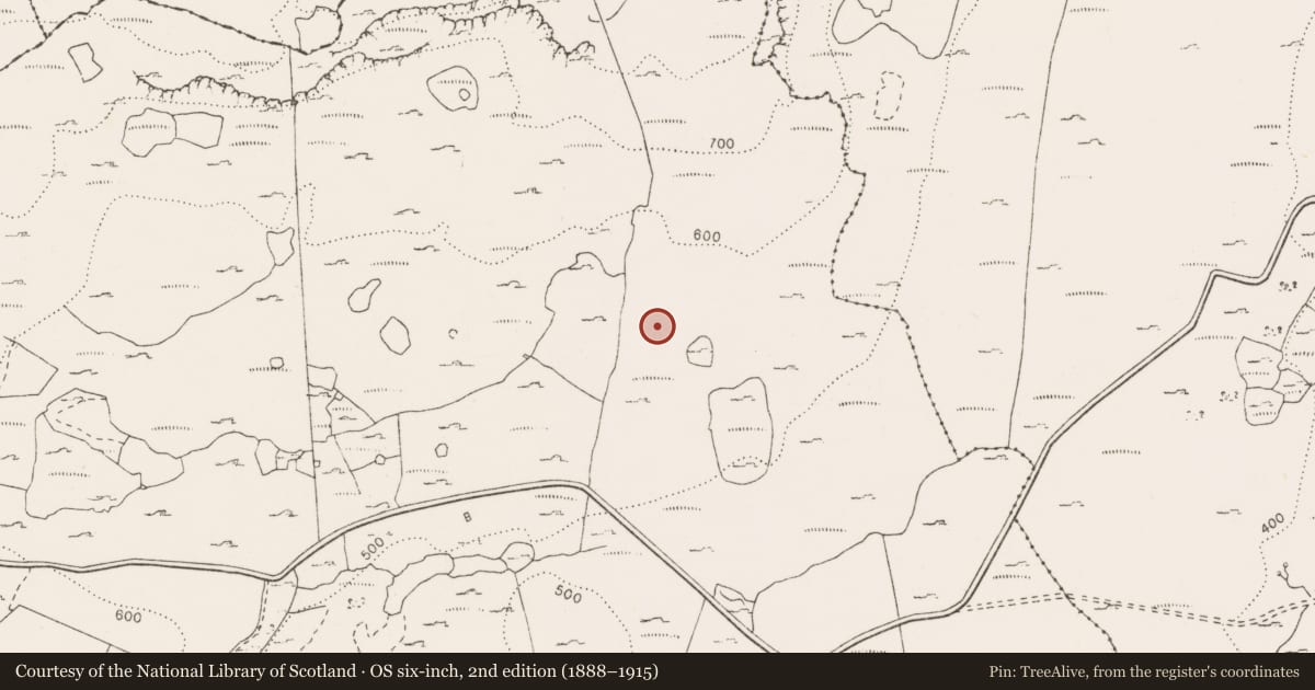 Ordnance Survey six-inch map, 2nd edition (1888–1915) covering the location of Mound, Pullagh, County Clare, with a pin at the register's coordinates