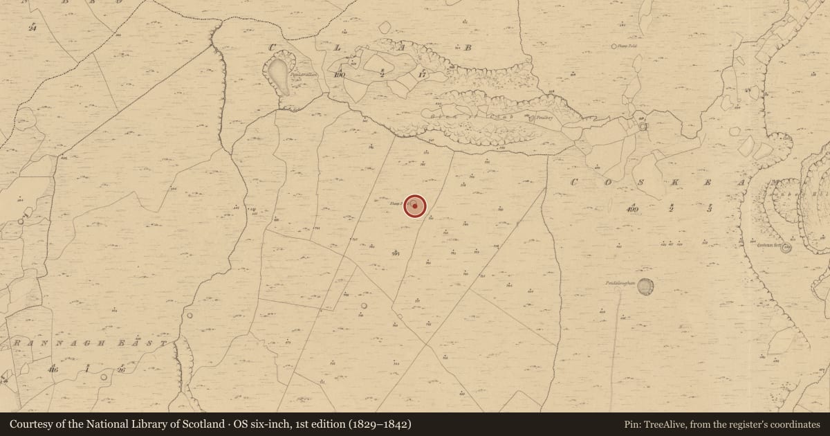 Ordnance Survey six-inch map, 1st edition (1829–1842) covering the location of Enclosure, Termon, County Clare, with a pin at the register's coordinates