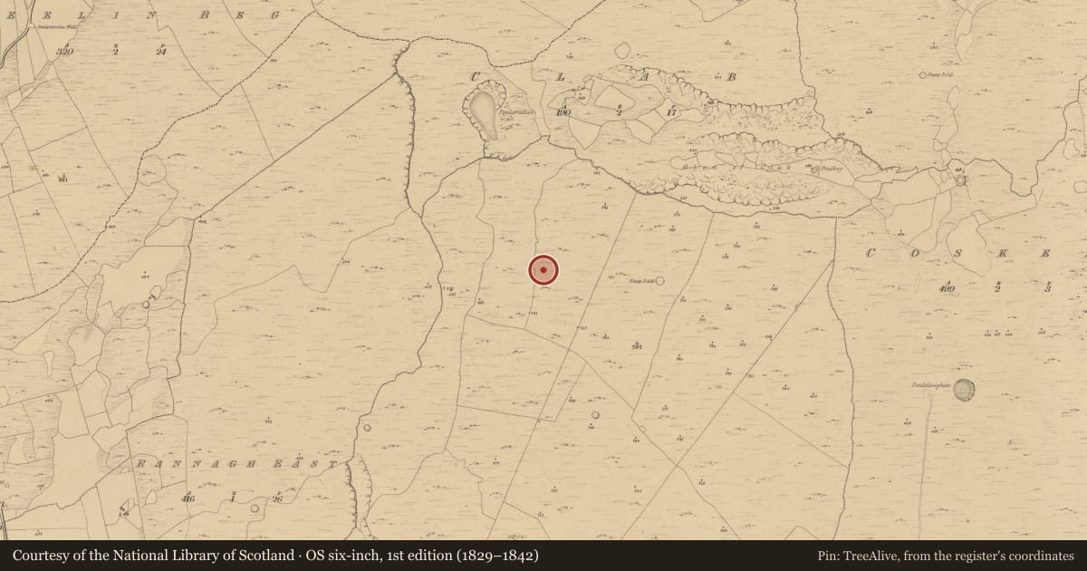 Ordnance Survey six-inch map, 1st edition (1829–1842) covering the location of Megalithic tomb - wedge tomb, Termon, County Clare, with a pin at the register's coordinates