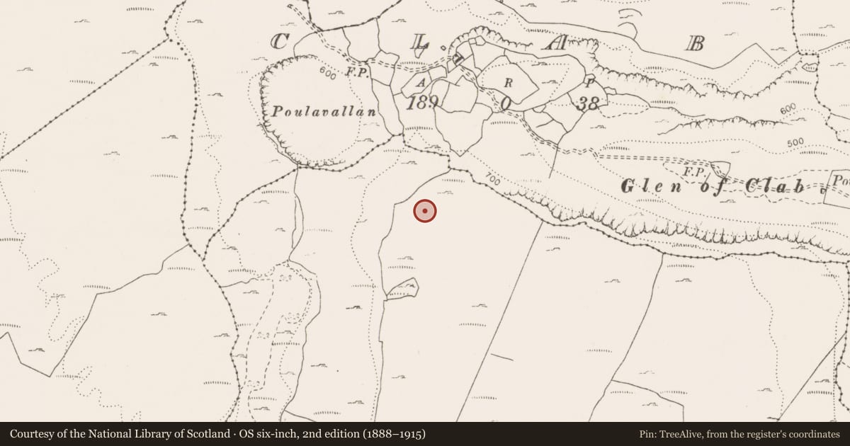 Ordnance Survey six-inch map, 2nd edition (1888–1915) covering the location of Enclosure, Termon, County Clare, with a pin at the register's coordinates