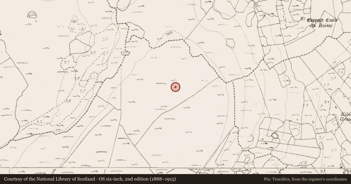 Ordnance Survey six-inch map, 2nd edition (1888–1915) covering the location of Cairn - unclassified, Fahee North, County Clare, with a pin at the register's coordinates