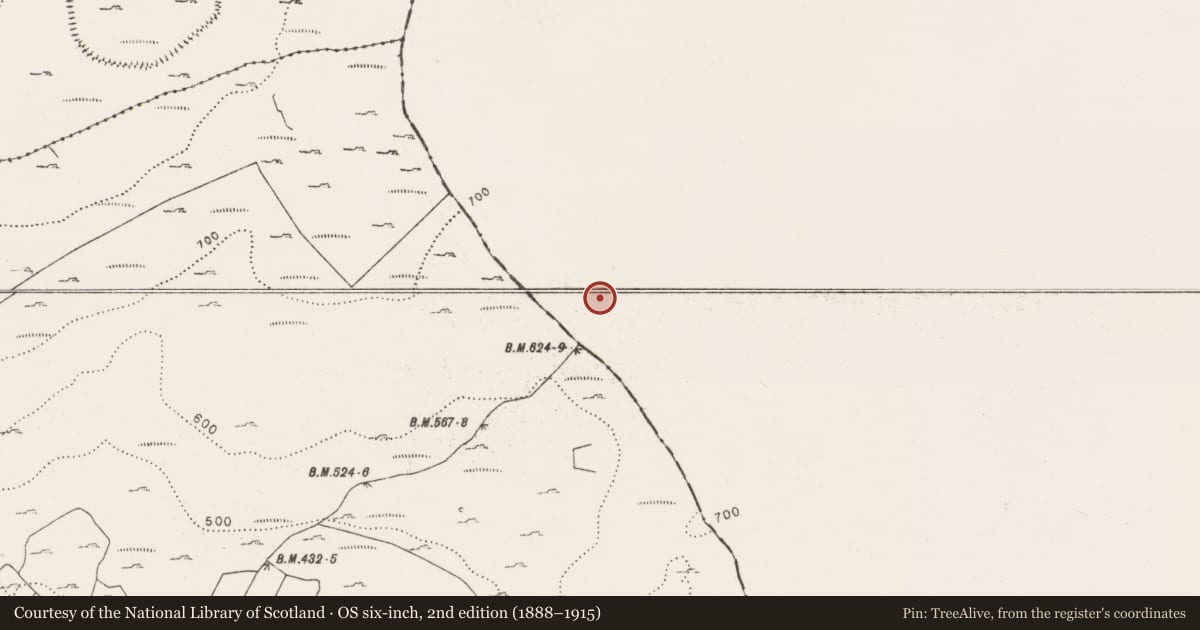 Ordnance Survey six-inch map, 2nd edition (1888–1915) covering the location of Megalithic structure, Aghawinnaun, County Clare, with a pin at the register's coordinates