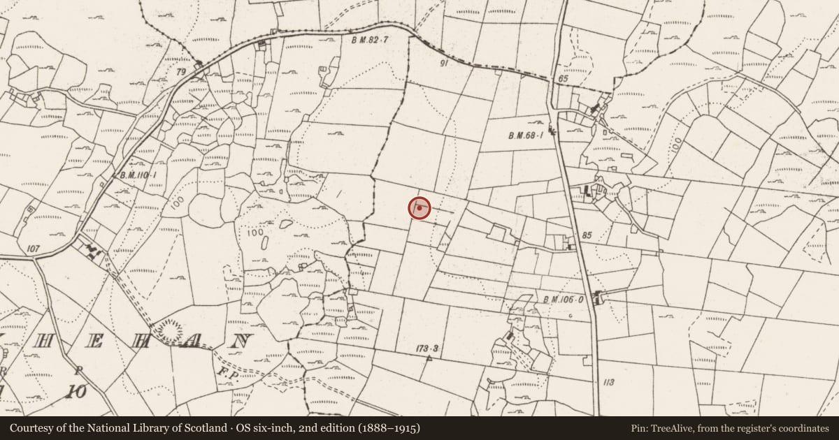 Ordnance Survey six-inch map, 2nd edition (1888–1915) covering the location of Ringfort - rath, Turlough, County Clare, with a pin at the register's coordinates