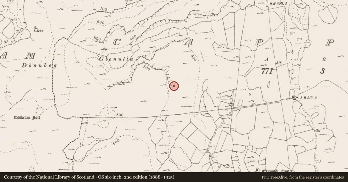 Ordnance Survey six-inch map, 2nd edition (1888–1915) covering the location of Enclosure, Cappagh, County Clare, with a pin at the register's coordinates