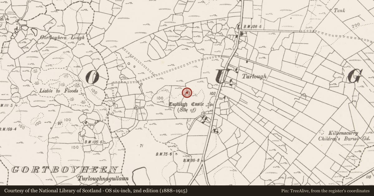 Ordnance Survey six-inch map, 2nd edition (1888–1915) covering the location of Enclosure, Turlough, County Clare, with a pin at the register's coordinates