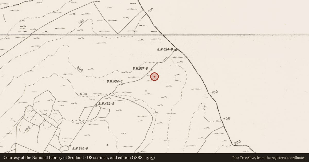 Ordnance Survey six-inch map, 2nd edition (1888–1915) covering the location of Hut site, Aghawinnaun, County Clare, with a pin at the register's coordinates