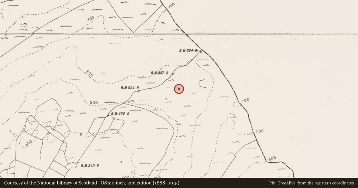 Ordnance Survey six-inch map, 2nd edition (1888–1915) covering the location of Field boundary, Aghawinnaun, County Clare, with a pin at the register's coordinates