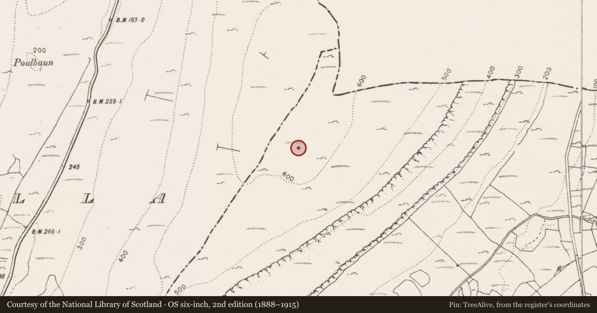 Ordnance Survey six-inch map, 2nd edition (1888–1915) covering the location of Cairn - unclassified, Ballybornagh, County Clare, with a pin at the register's coordinates