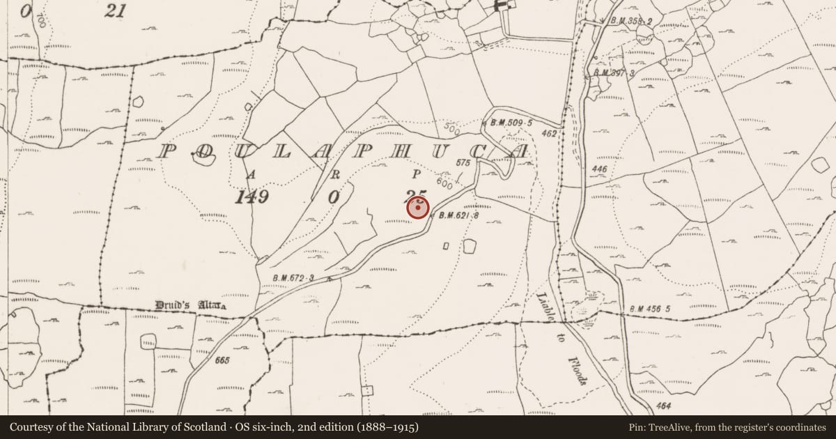 Ordnance Survey six-inch map, 2nd edition (1888–1915) covering the location of Enclosure, Poulaphuca, County Clare, with a pin at the register's coordinates