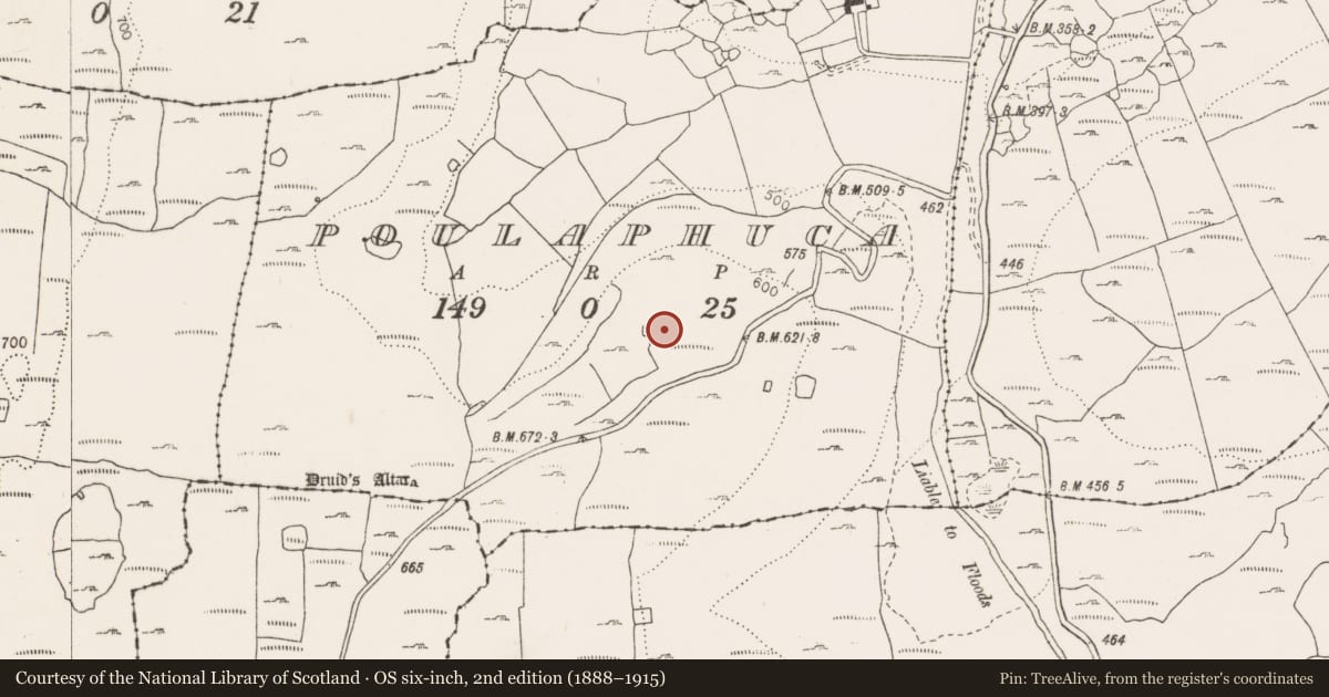 Ordnance Survey six-inch map, 2nd edition (1888–1915) covering the location of Field system, Poulaphuca, County Clare, with a pin at the register's coordinates