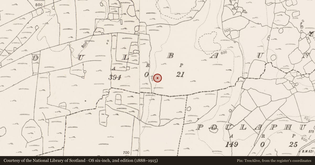 Ordnance Survey six-inch map, 2nd edition (1888–1915) covering the location of Enclosure, Poulbaun, County Clare, with a pin at the register's coordinates