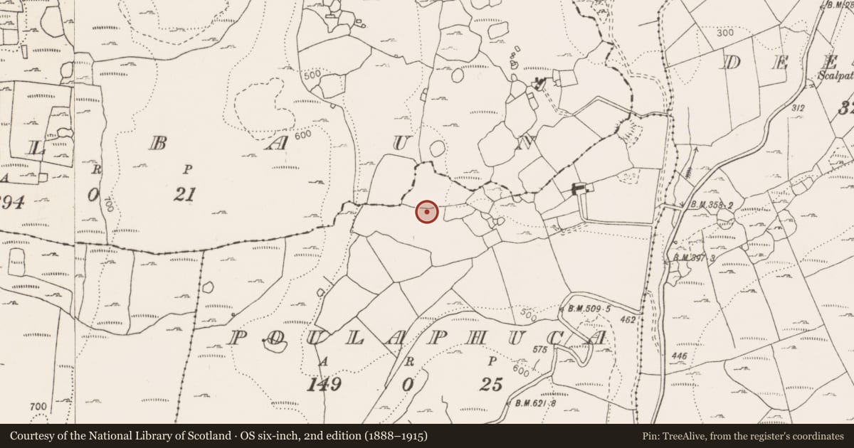 Ordnance Survey six-inch map, 2nd edition (1888–1915) covering the location of Enclosure, Poulaphuca, County Clare, with a pin at the register's coordinates