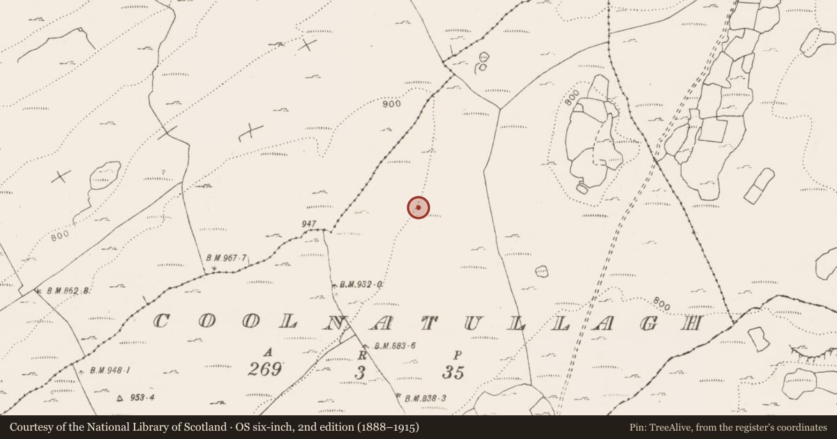 Ordnance Survey six-inch map, 2nd edition (1888–1915) covering the location of Settlement cluster, Coolnatullagh (Burren By., Carran Par.), County Clare, with a pin at the register's coordinates