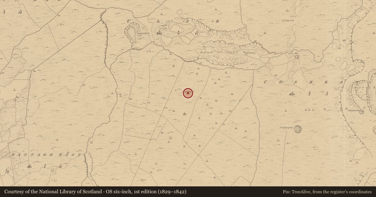 Ordnance Survey six-inch map, 1st edition (1829–1842) covering the location of Enclosure, Termon, County Clare, with a pin at the register's coordinates