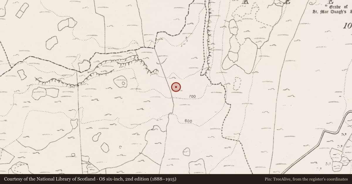 Ordnance Survey six-inch map, 2nd edition (1888–1915) covering the location of Hut site, Pullagh, County Clare, with a pin at the register's coordinates