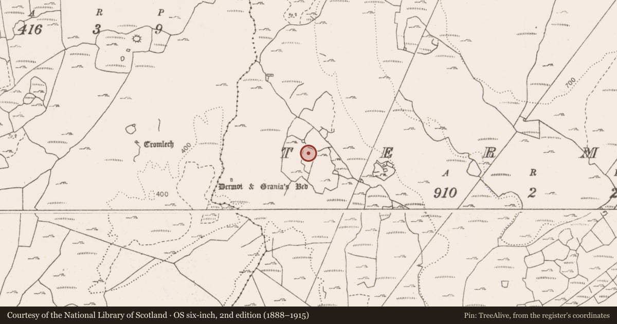 Ordnance Survey six-inch map, 2nd edition (1888–1915) covering the location of Field system, Termon, County Clare, with a pin at the register's coordinates