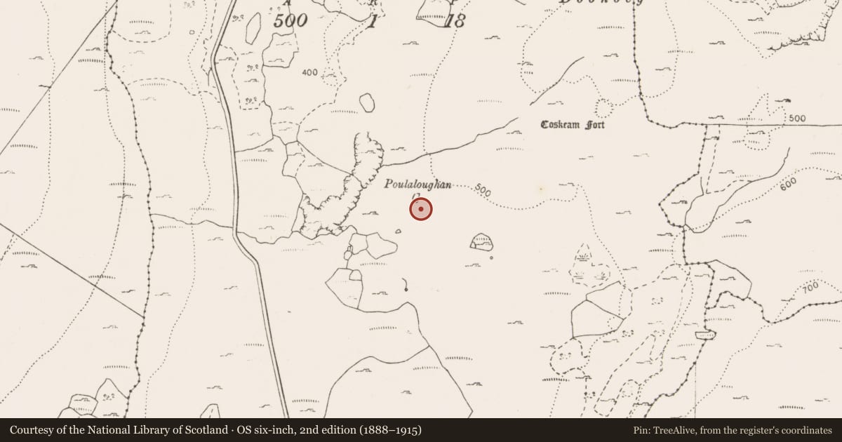 Ordnance Survey six-inch map, 2nd edition (1888–1915) covering the location of Enclosure, Coskeam, County Clare, with a pin at the register's coordinates