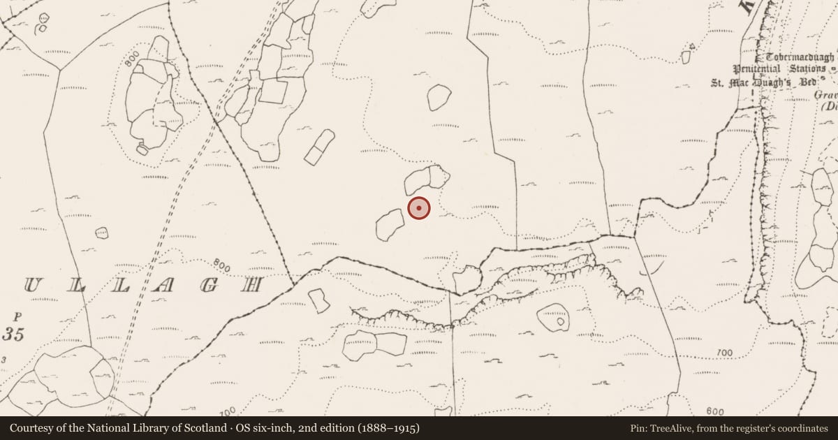 Ordnance Survey six-inch map, 2nd edition (1888–1915) covering the location of Enclosure, Slievecarran, County Clare, with a pin at the register's coordinates