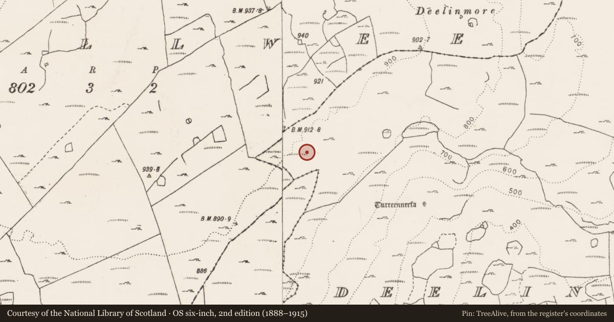 Ordnance Survey six-inch map, 2nd edition (1888–1915) covering the location of Enclosure, Deelin More, County Clare, with a pin at the register's coordinates