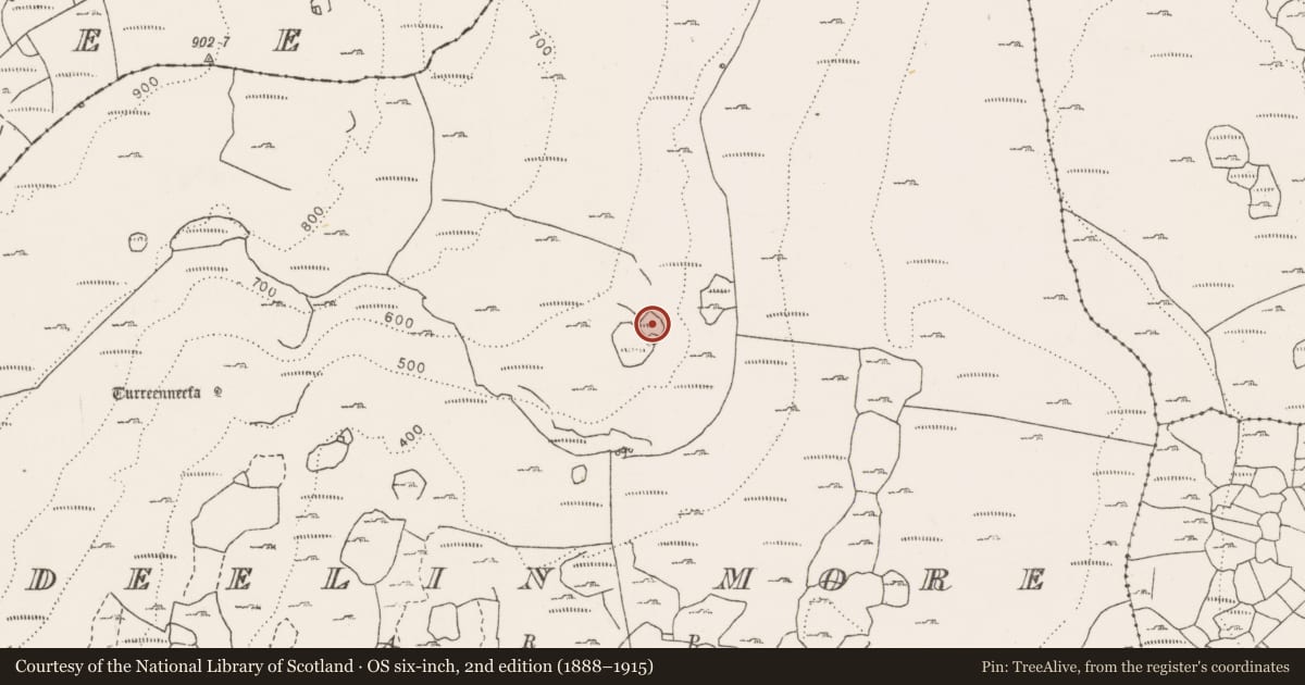 Ordnance Survey six-inch map, 2nd edition (1888–1915) covering the location of Ringfort - cashel, Deelin More, County Clare, with a pin at the register's coordinates