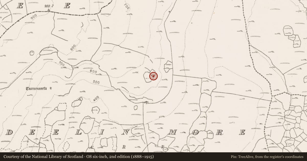 Ordnance Survey six-inch map, 2nd edition (1888–1915) covering the location of House - indeterminate date, Deelin More, County Clare, with a pin at the register's coordinates