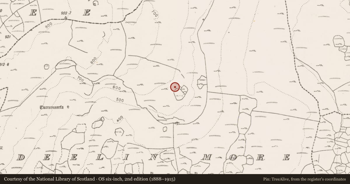 Ordnance Survey six-inch map, 2nd edition (1888–1915) covering the location of Field system, Deelin More, County Clare, with a pin at the register's coordinates