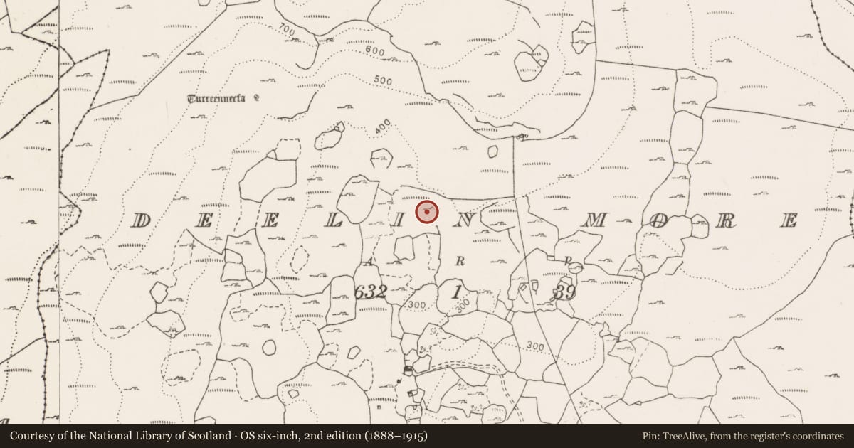 Ordnance Survey six-inch map, 2nd edition (1888–1915) covering the location of Enclosure, Deelin More, County Clare, with a pin at the register's coordinates