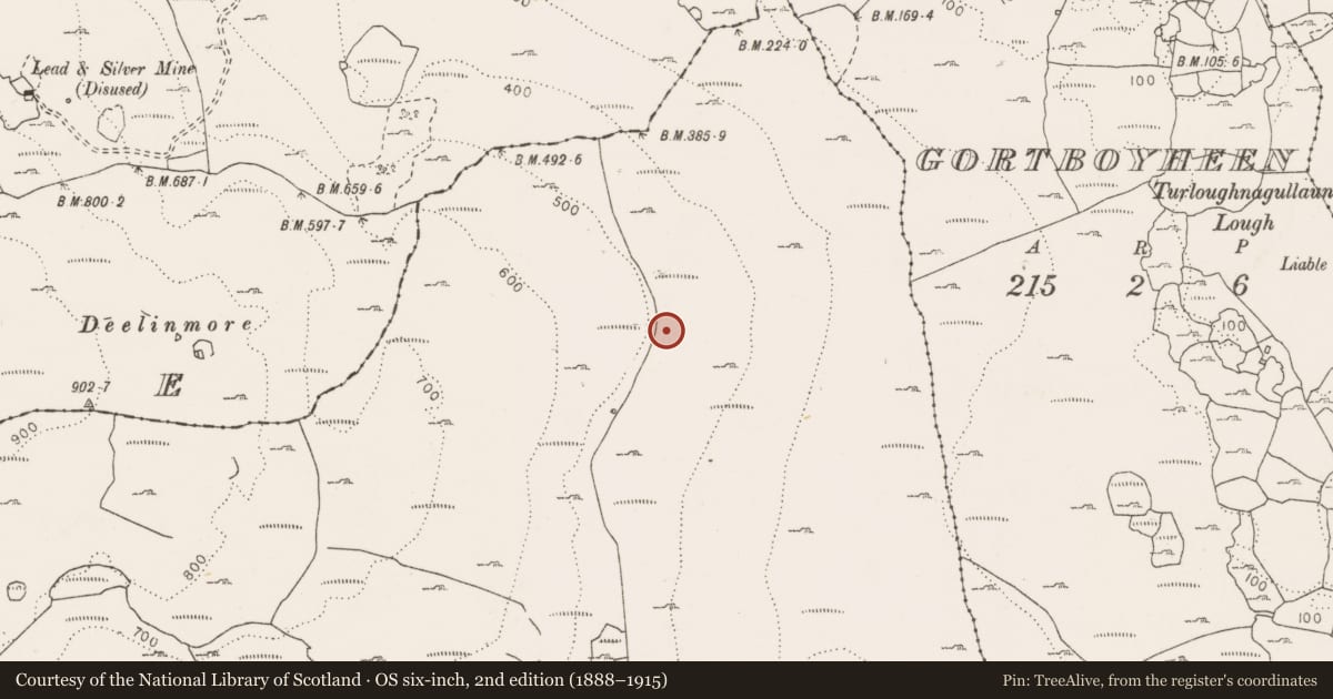 Ordnance Survey six-inch map, 2nd edition (1888–1915) covering the location of Hut site, Deelin More, County Clare, with a pin at the register's coordinates