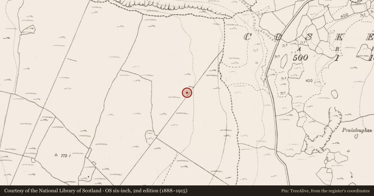 Ordnance Survey six-inch map, 2nd edition (1888–1915) covering the location of Cist, Termon, County Clare, with a pin at the register's coordinates