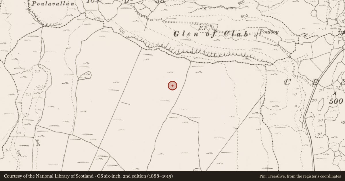 Ordnance Survey six-inch map, 2nd edition (1888–1915) covering the location of Cairn - unclassified, Termon East, County Clare, with a pin at the register's coordinates
