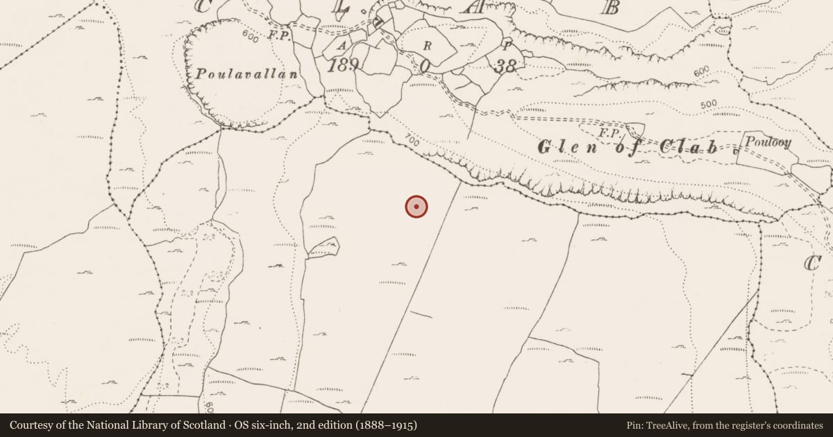 Ordnance Survey six-inch map, 2nd edition (1888–1915) covering the location of Cairn - unclassified, Termon, County Clare, with a pin at the register's coordinates