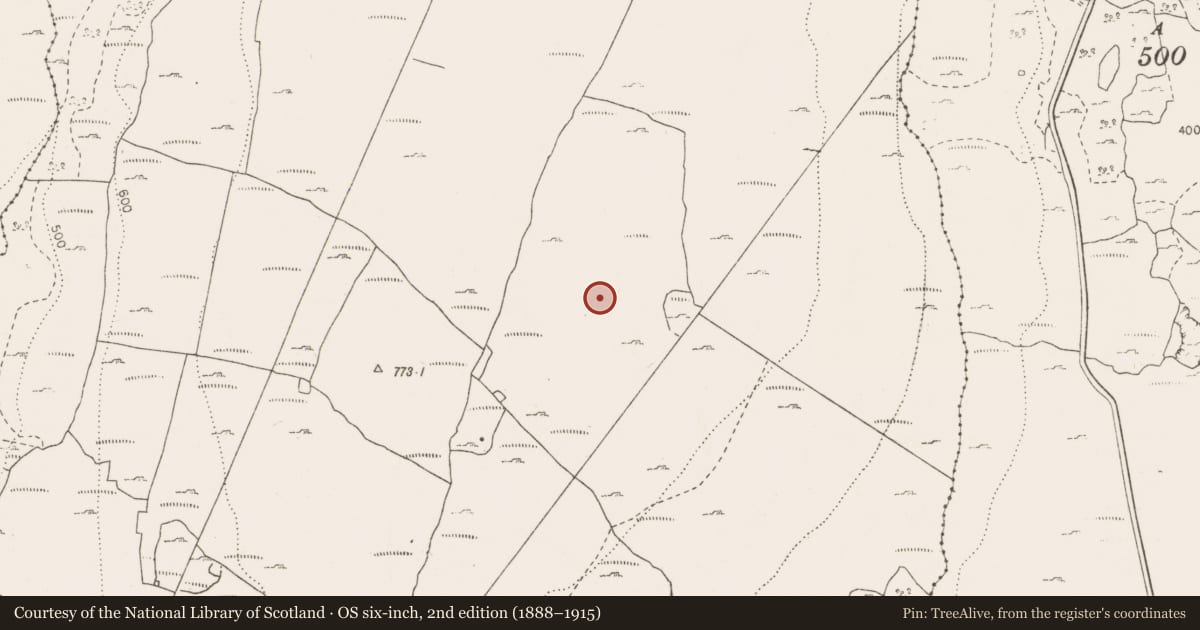 Ordnance Survey six-inch map, 2nd edition (1888–1915) covering the location of Cairn - unclassified, Termon, County Clare, with a pin at the register's coordinates